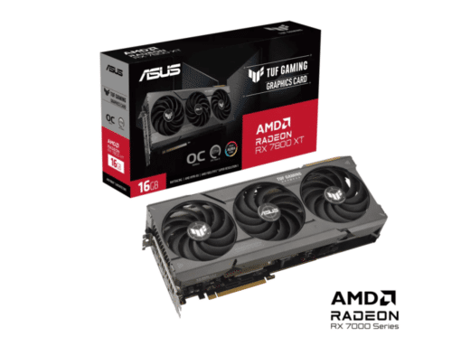 3xDP