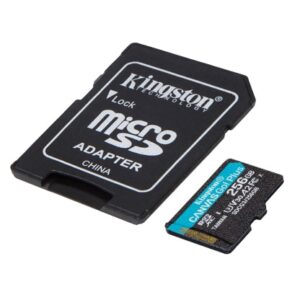 Kingston microSD 256GBCanvasGoPlusr/w:170MB/s/90MB/s