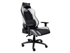 ergonomska