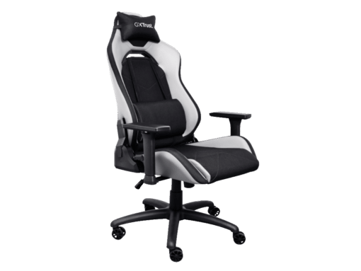 ergonomska