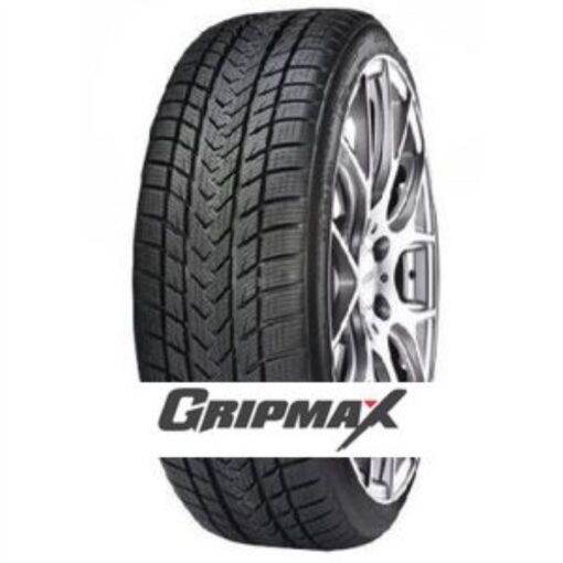 Guma G255/40R20 101V XL PRO WINTER GRIPMAX M+S