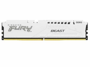 Kingston 16GB 5200MHz DDR5 W.White