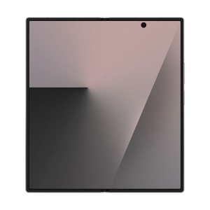 Silver Shadow SM-F966BZSCEUC