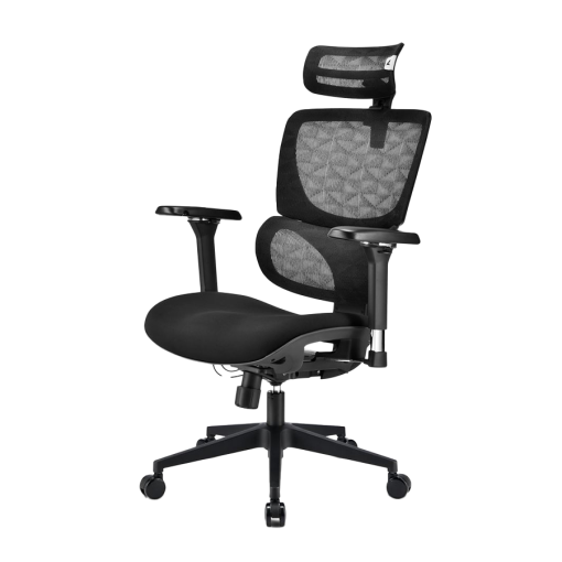 Stolica SHARKOON OfficePal C40