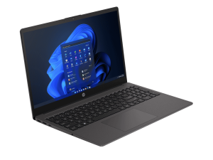 HP 250 G10 i5-1334U 15 8GB/51215
