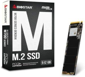 BIOSTAR 256GB SSD M.2 NVMe PCI-E