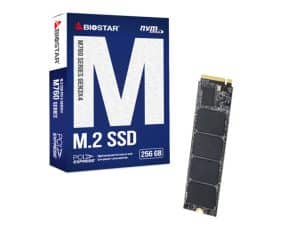 BIOSTAR 256GB SSD M.2