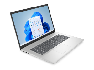 HP Laptop 17-cp2040nm R5/16/5117.3 FHD