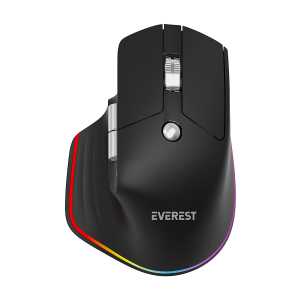 4GHz Black Rechargeable 4000 DPI Horizontal/Vertical Wheel Ergonomic RGB Mouse