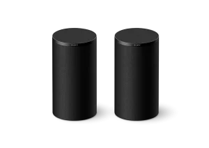 Sony BRAVIA zvučnici Theatre Rear 9  Speakers SARS9.CEJ