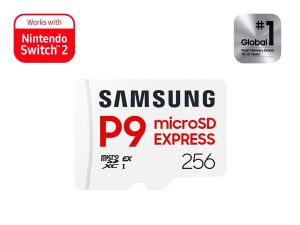 Samsung Micro SD 256GB ExpressP9